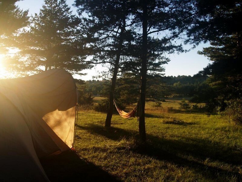 emplacement de camping dans les pinède dans les les Cévennes